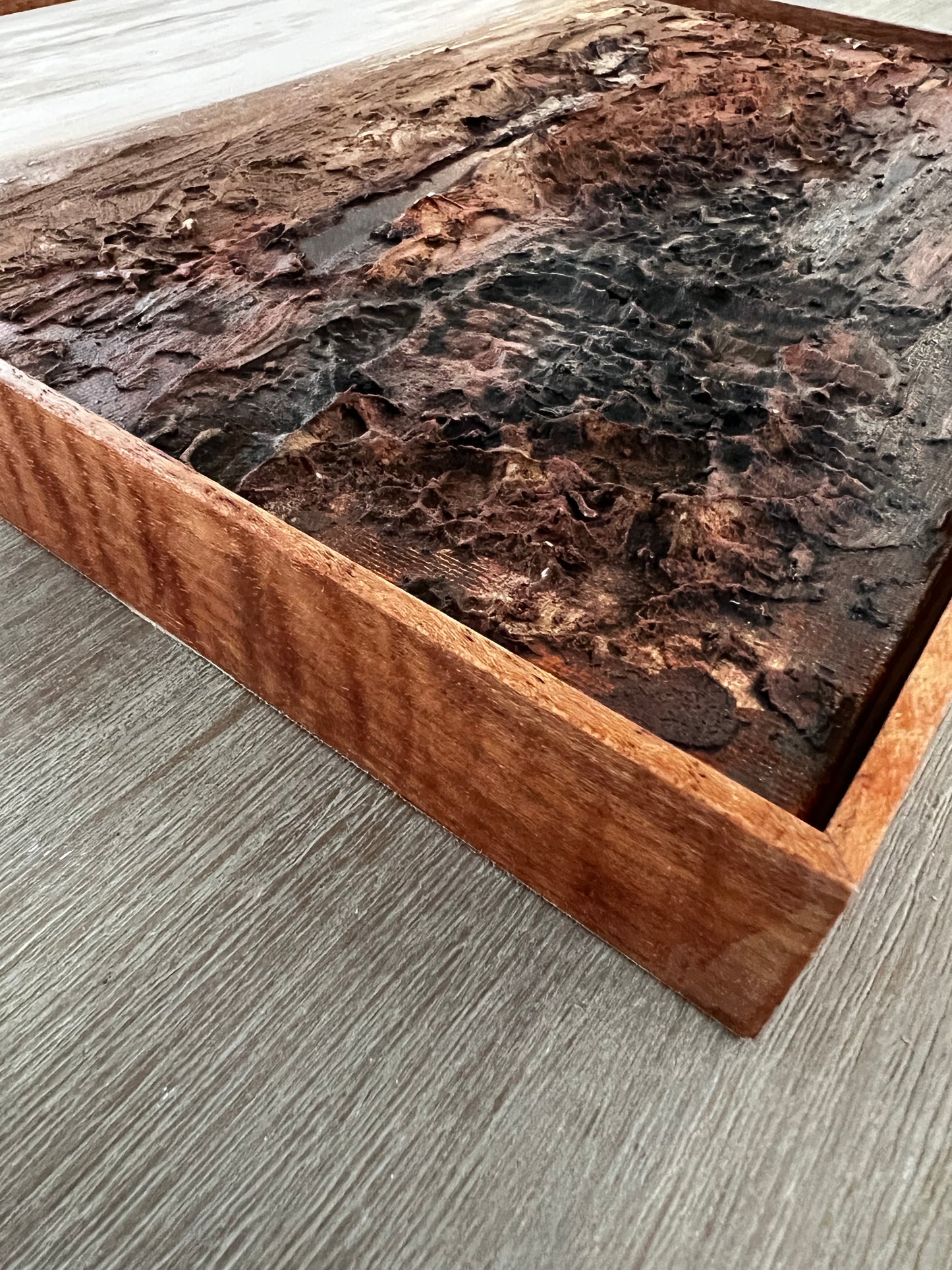 PETITE TREASURE - OUTBACK 12