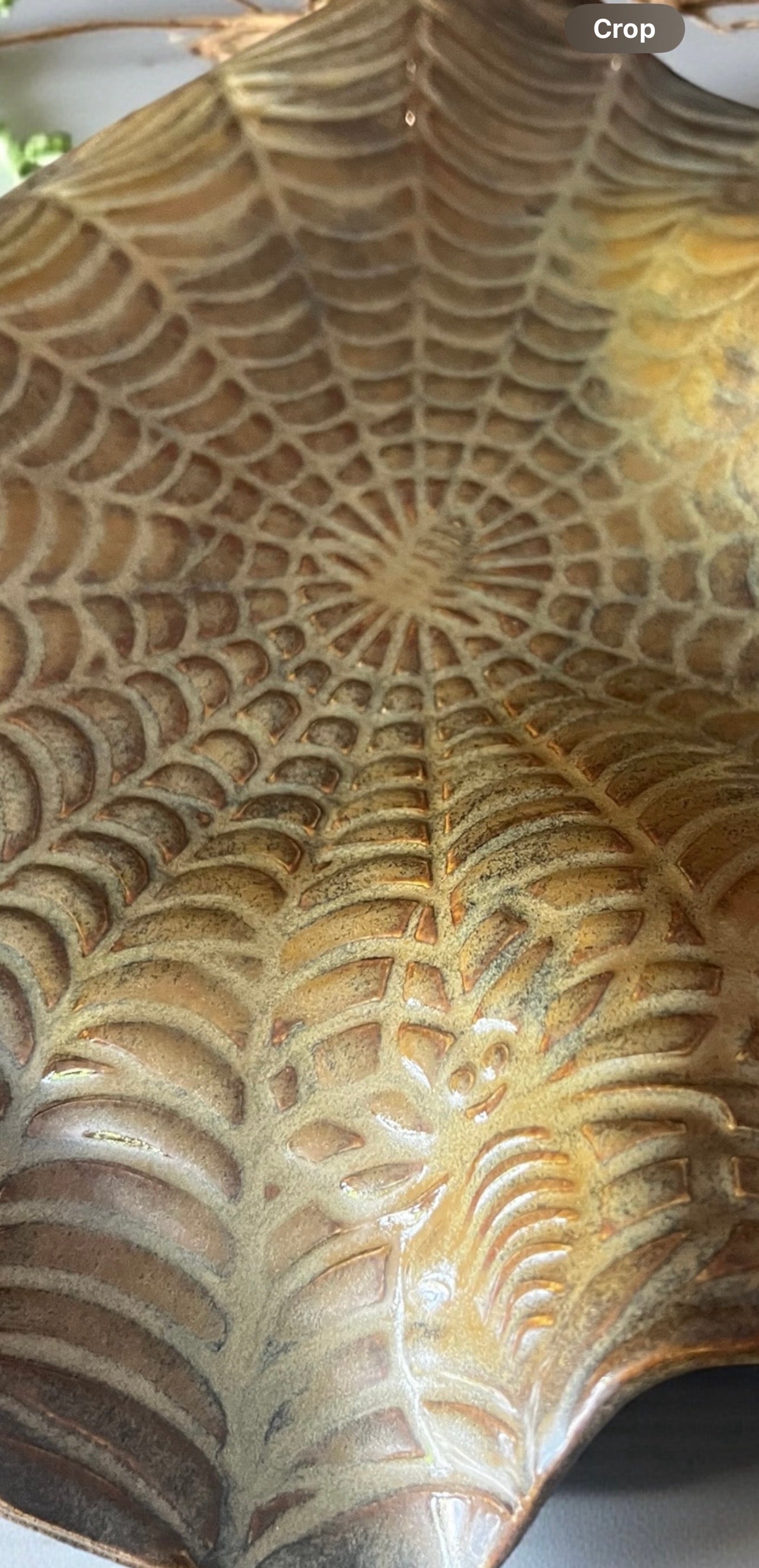 AROKA - The Web Platter