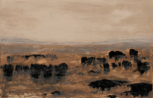 Warrumbungle Rise  - Limited Edition Print