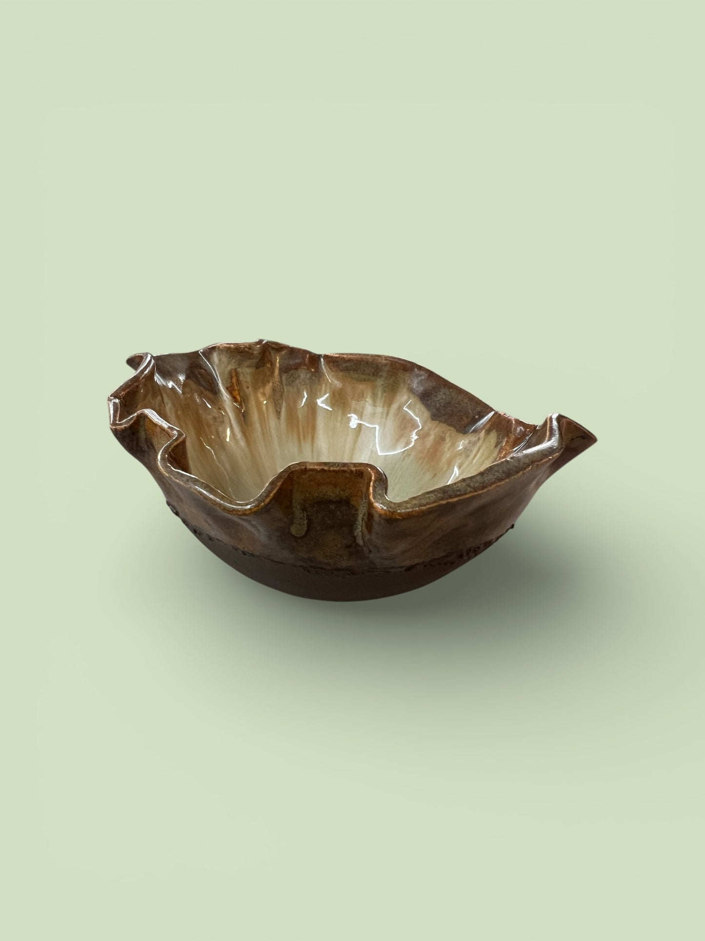 AROKA - The Radiant Bowl